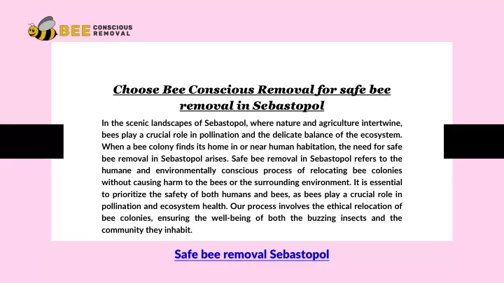 choose bee conscious removal for safe bee removal