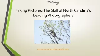 The Skill of North Carolina's Leading Photographers
