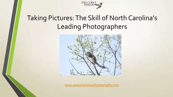 taking pictures the skill of north carolina s leading photographers