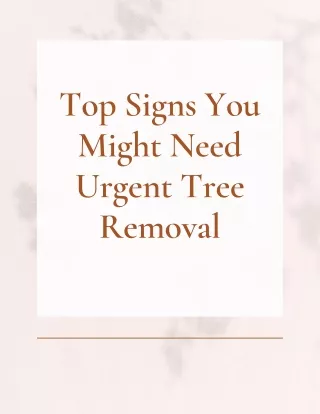 Top Signs You Might Need Urgent Tree Removal