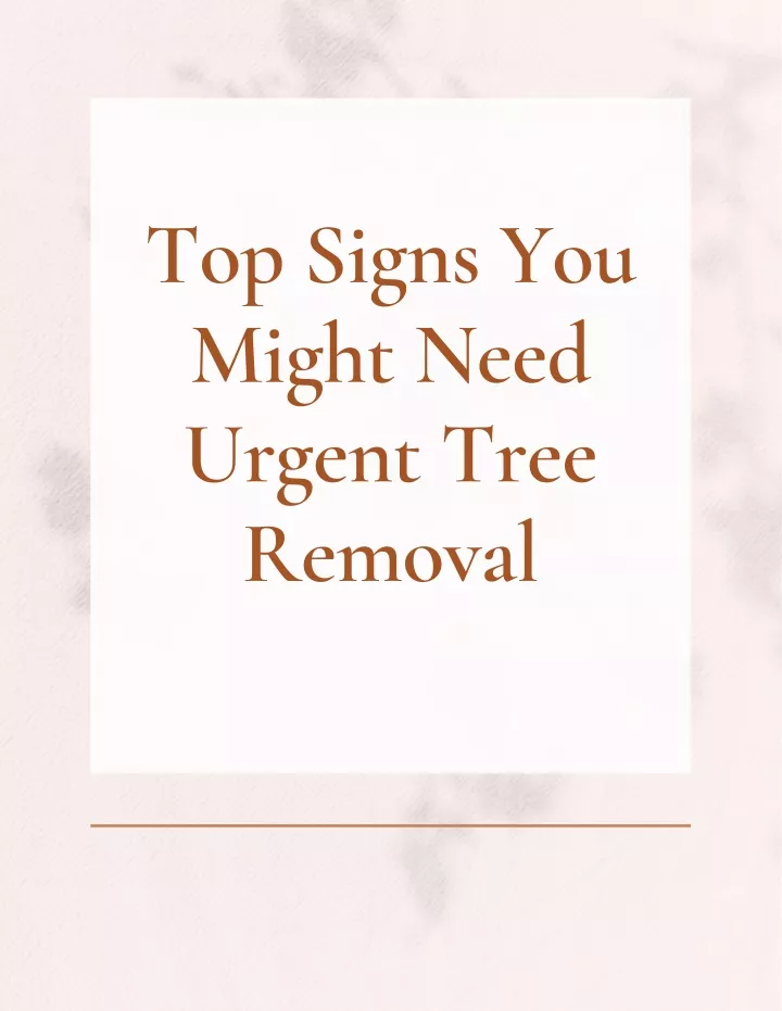 top signs you might need urgent tree removal