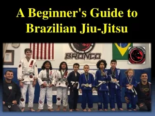 A Beginner's Guide to Brazilian Jiu-Jitsu
