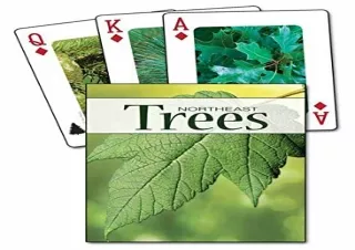 download⚡️[EBOOK]❤️ Trees of the Northeast Playing Cards (Nature's Wild Cards)