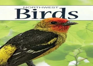 Ebook❤️(download)⚡️ Birds of the Northwest Playing Cards (Nature's Wild Cards)