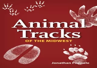 READ️⚡️[PDF]️❤️ Animal Tracks of the Midwest Playing Cards (Nature's Wild Cards)