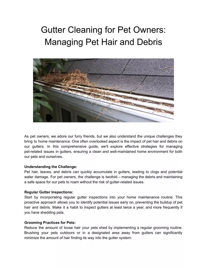gutter cleaning for pet owners managing pet hair