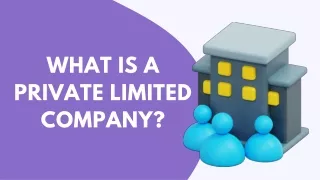 what is a private limited company