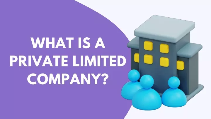 what is a private limited company