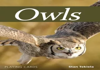 ❤️PDF⚡️ Owls Playing Cards (Nature's Wild Cards)