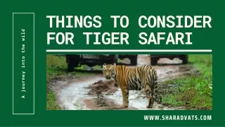 Things to Consider Before Going on a Tiger Safari