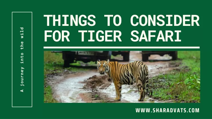 things to consider for tiger safari