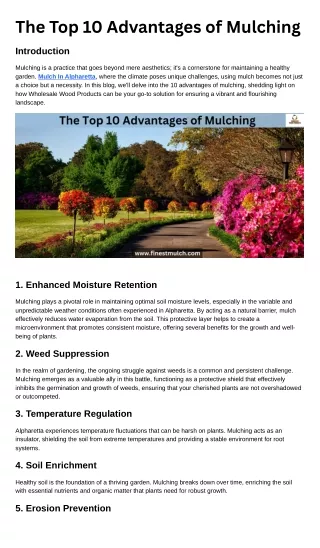 The Top 10 Advantages of Mulching