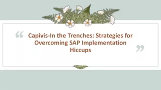 capivis in the trenches strategies for overcoming sap implementation hiccups