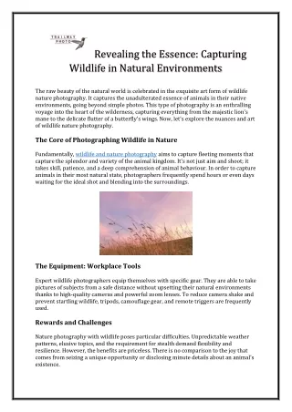 Revealing the Essence: Capturing Wildlife in Natural Environments