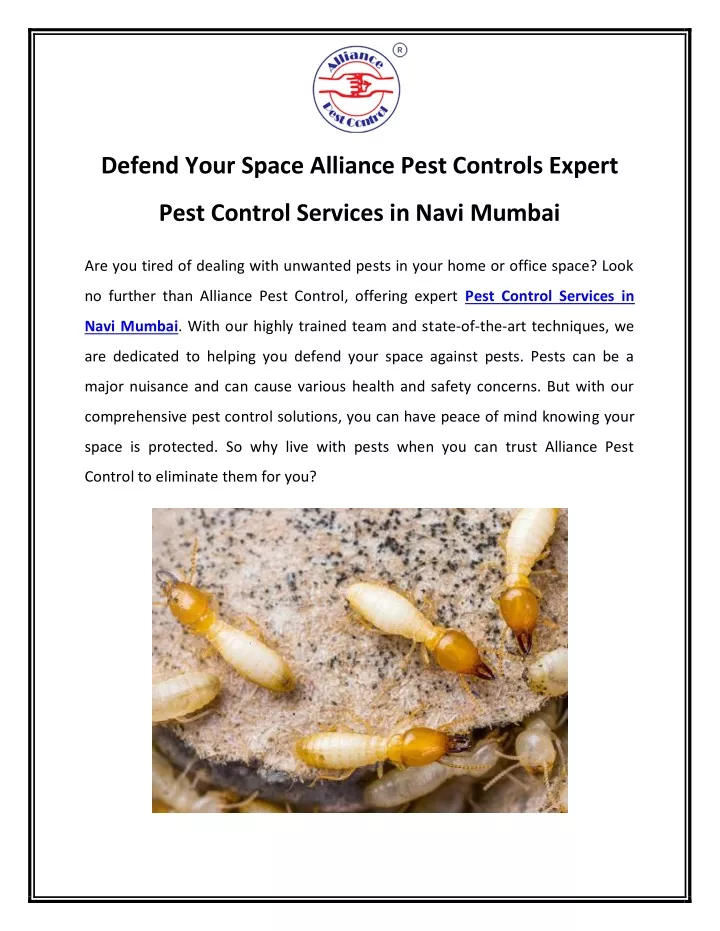 defend your space alliance pest controls expert