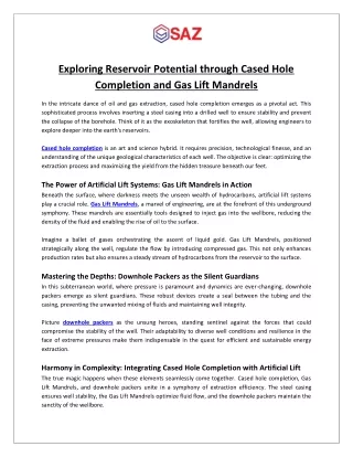 Exploring Reservoir Potential through Cased Hole Completion and Gas Lift Mandrels