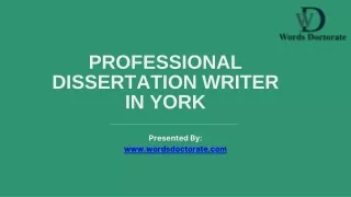 professional dissertation writer in york