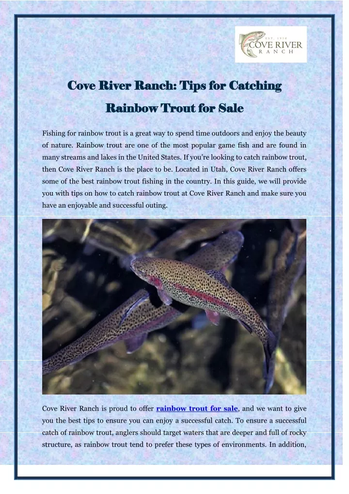 cove river ranch tips for catching cove river