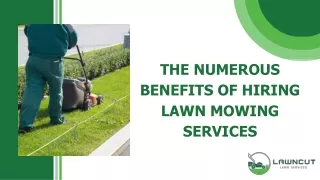 Lawn Mower Service Auckland