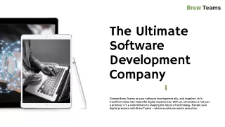 The Ultimate Software Development Company- Brew Teams