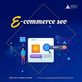 Apex Infotech Best Ecommerce SEO Services in India