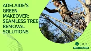 Adelaide’s Green Makeover Seamless Tree Removal Solutions
