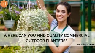Where Can You Use Commercial Outdoor Planters