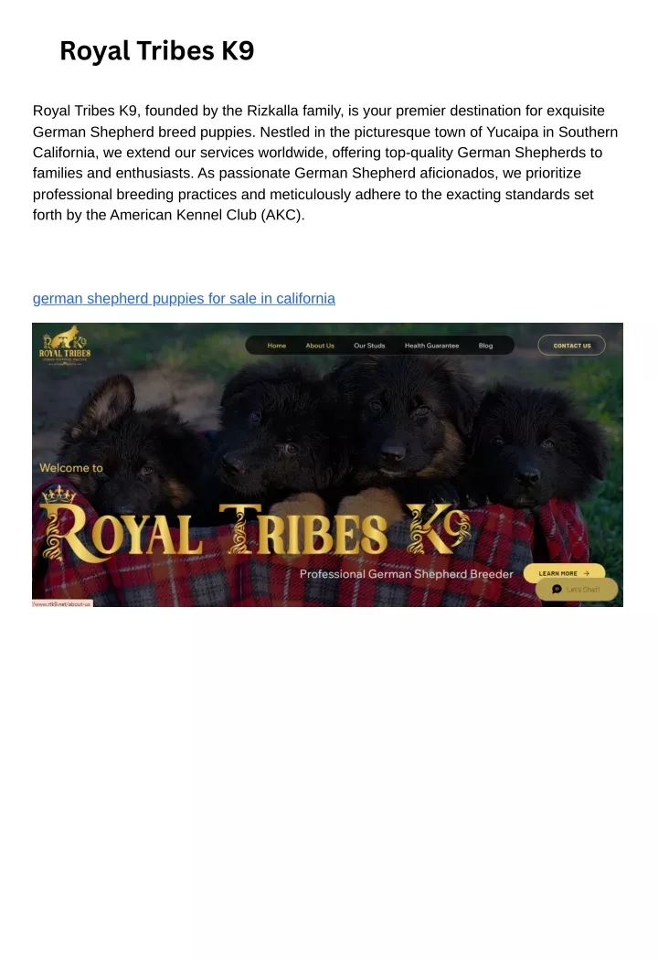 royal tribes k9