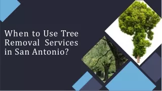 When to Use Tree Removal Services in San Antonio?