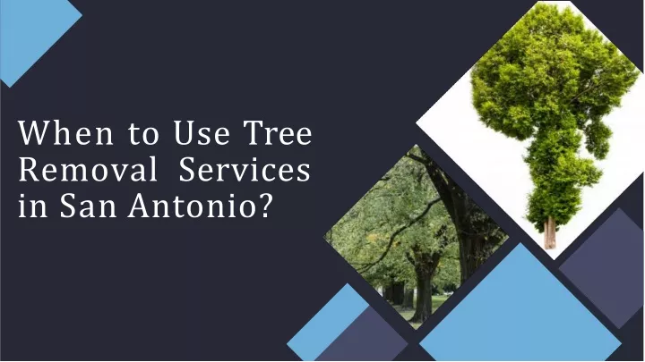 when to use tree removal services in san antonio