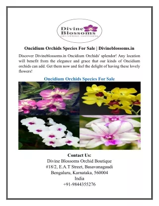 Oncidium Orchids Species For Sale | Divineblossoms.in