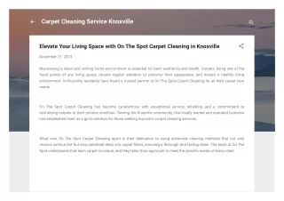 Elevate Your Living Space with On The Spot Carpet Cleaning in Knoxville