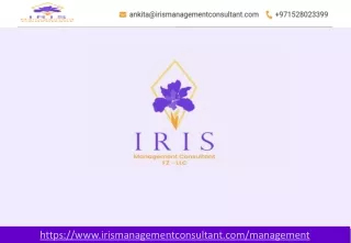 Business Consultant Dubai-Iris Management Consultant