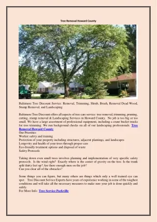 Tree Removal Howard County | Baltimoretreediscountservice.com