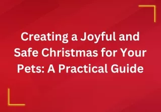 Creating a Joyful and Safe Christmas for Your Pets A Practical Guide