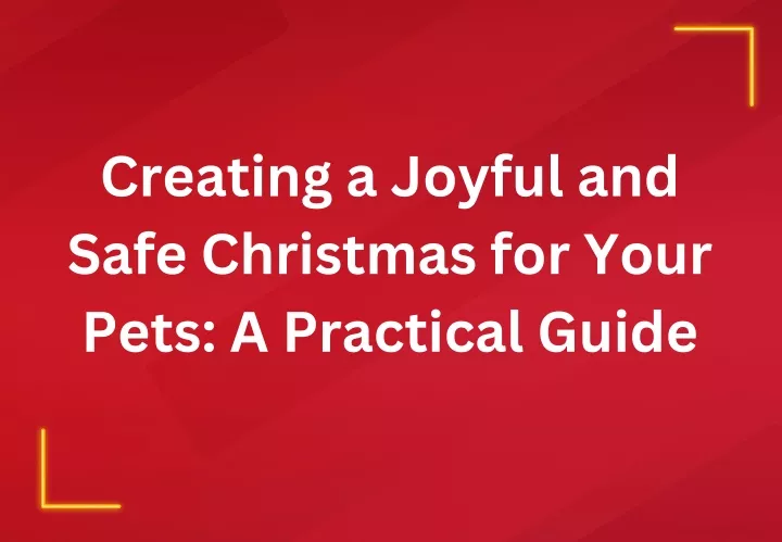 creating a joyful and safe christmas for your