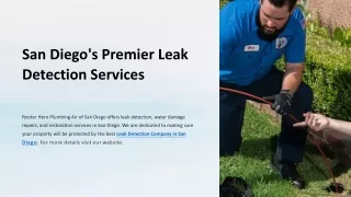 San-Diegos-Premier-Leak-Detection-Services