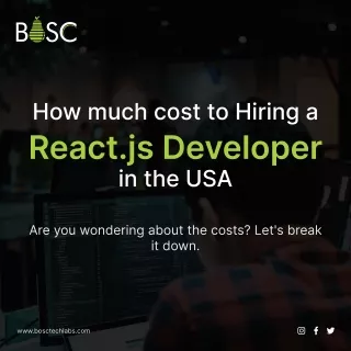 how much cost to hiring a react js developer