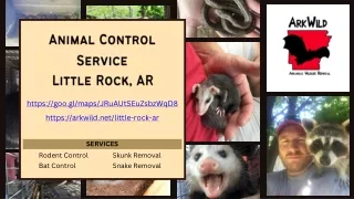 Animal Control Service Little Rock, AR