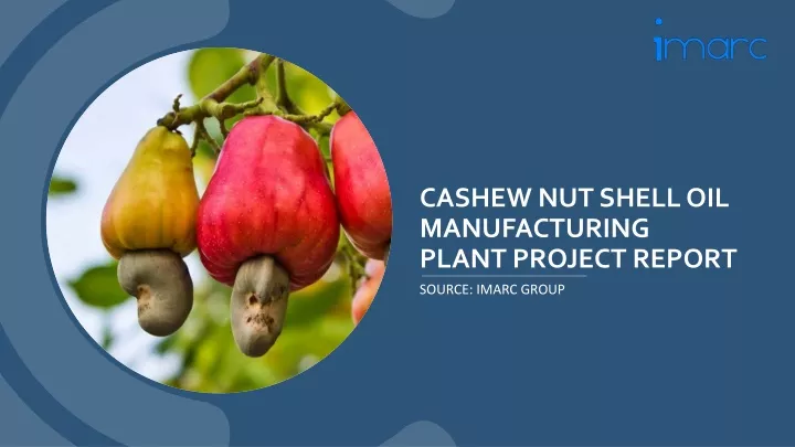 cashew nut shell oil manufacturing plant project report