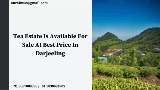 Tea Estate Is Available For Sale At Best Price In Darjeeling