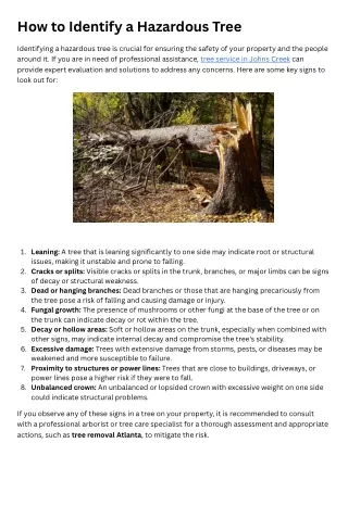 How to Identify a Hazardous Tree?