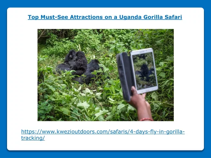 top must see attractions on a uganda gorilla