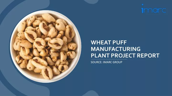wheat puff manufacturing plant project report