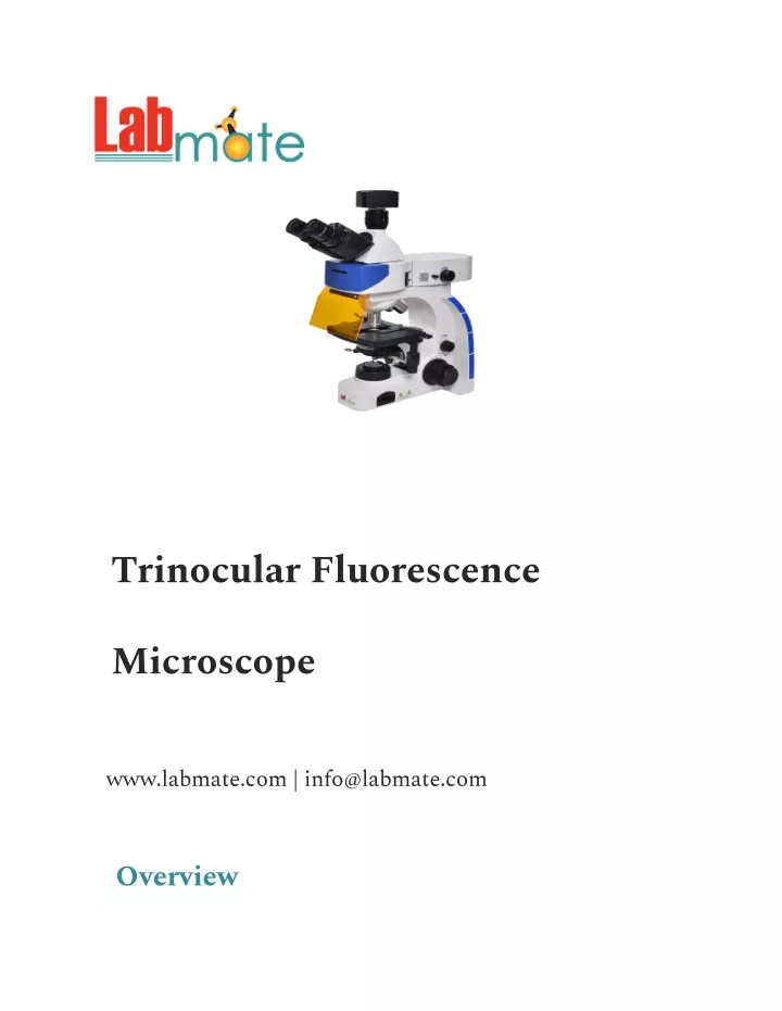 trinocular fluorescence