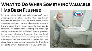 What to Do When Something Valuable Has Been Flushed