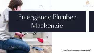 One Stop for All Your Plumbing Needs- Emergency Plumber Mackenzie