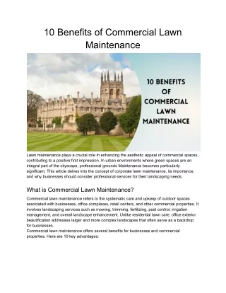 The Importance of Commercial Lawn Maintenance