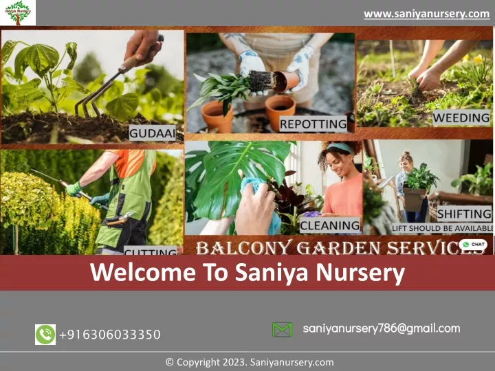 www saniyanursery com