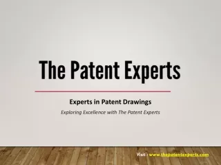 experts in patent drawings